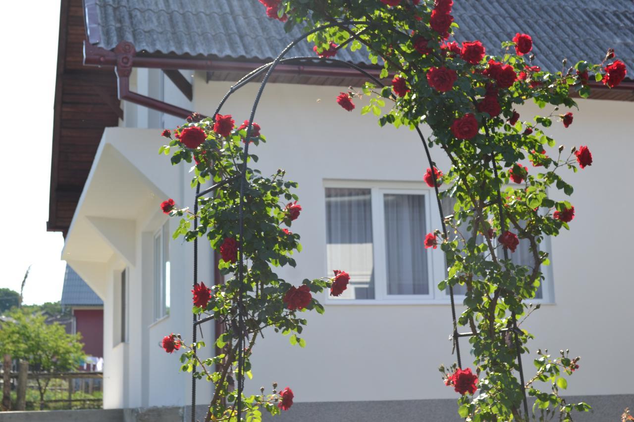 Casa Maria Guest House Prundul Birgaului Eksteriør bilde